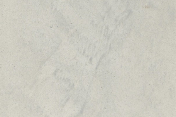 205